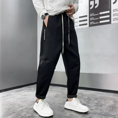2023新款春秋季重磅休闲裤男直筒宽松运动裤潮牌百搭轻熟哈伦卫裤商品大图