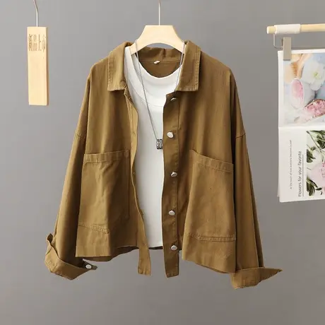 休闲短款外套女士宽松百搭小个子穿搭设计感小众洋气短外套春秋季商品大图