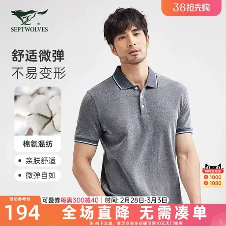 B七匹狼短袖T恤2023年夏季翻领时尚都市商务狼标休闲纯色Polo衫男商品大图