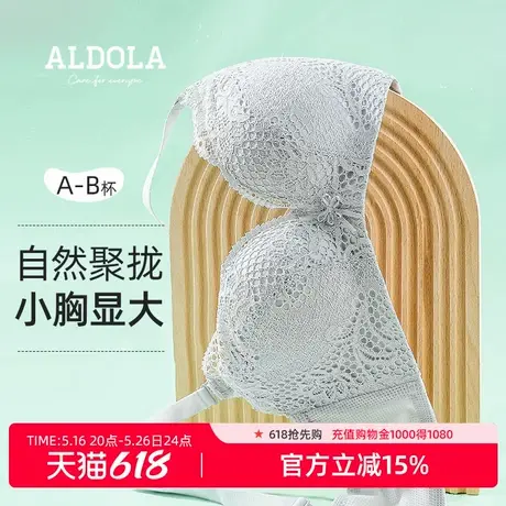雅黛丽内衣女小胸聚拢显大文胸无钢圈收副乳防下垂调整型女士文胸商品大图