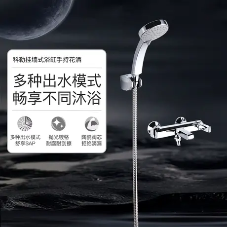 科勒花洒套装淋浴器家用卫浴沐浴淋雨浴缸花洒喷头欣嘉丽R13527T商品大图