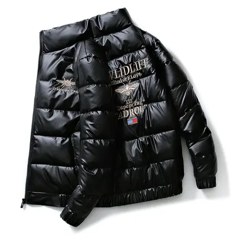 男士外套2023冬季新款棉衣韩版潮流男装青年立领棉袄加厚羽绒棉服商品大图