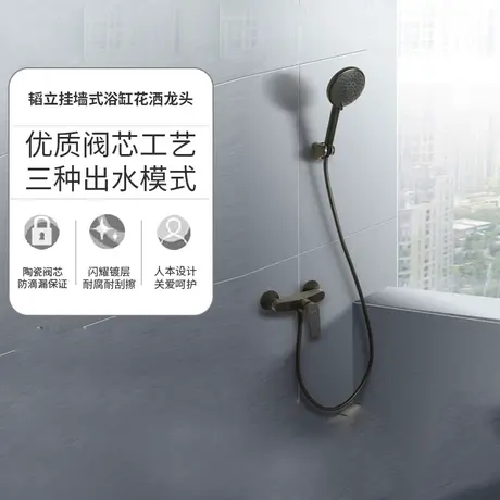 科勒黑色花洒壁挂淋浴花洒套装挂墙式龙头浴缸花洒龙头74035T图片