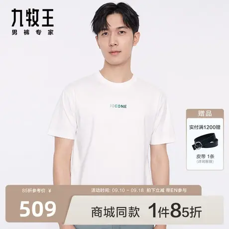 [商场同款]九牧王男装HT2C20819短袖T恤2023夏季新款时尚简约男EN商品大图
