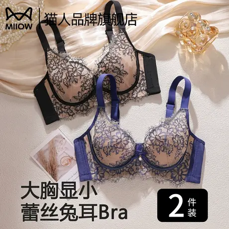 猫人性感内衣女大胸显小洞洞杯夏薄款透气防下垂收副乳美背文胸罩商品大图