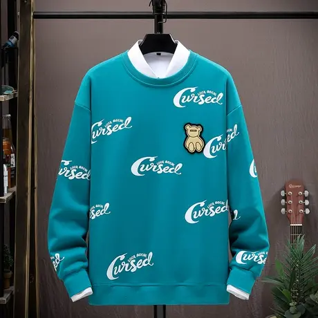 青少年长袖卫衣12岁男孩13初中学生14棉感打底衫上衣15大童春秋装商品大图