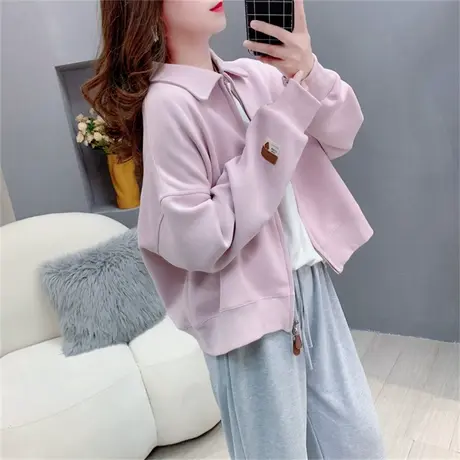 复古港风chic长袖拉链开衫卫衣女秋季2023年新款洋气休闲上衣外套商品大图