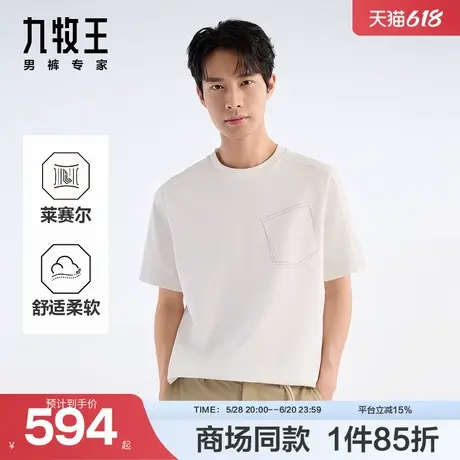 [商场同款]九牧王男装25春夏新款圆领时尚易干易洗易打理短袖T恤商品大图