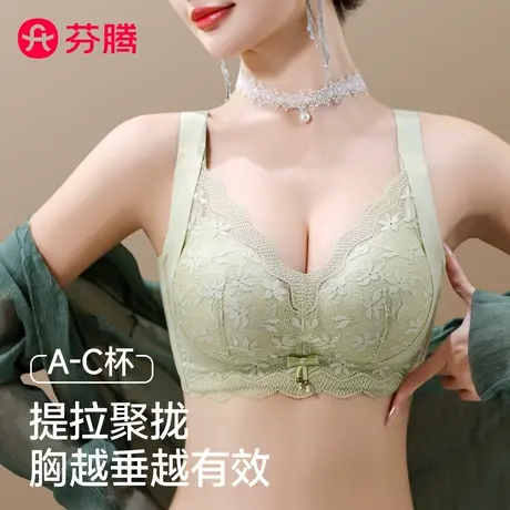芬腾内衣女小胸聚拢显大2025新爆款蕾丝提拉防垂调整型收副乳文胸商品大图
