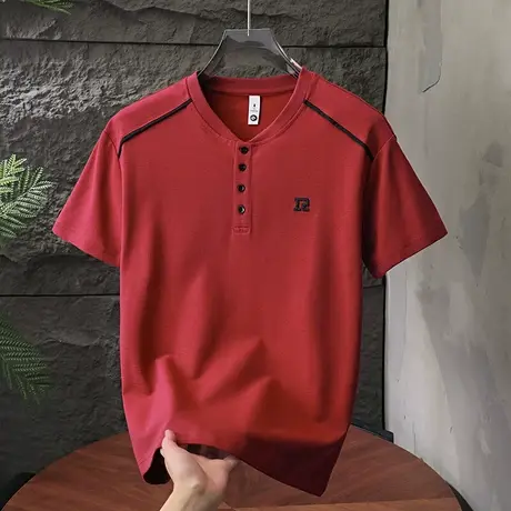 短袖t恤男夏季新款潮流休闲百搭半袖高级感刺绣体恤上衣服POLO衫商品大图