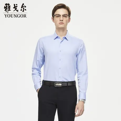 【棉弹DP免烫】D系雅戈尔衬衫秋季商务休闲职业通勤长袖衬衫商品大图