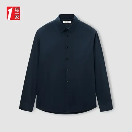 海一家无痕压胶长衬2023秋季新款商务休闲沉稳中年男士长袖衬衫图片