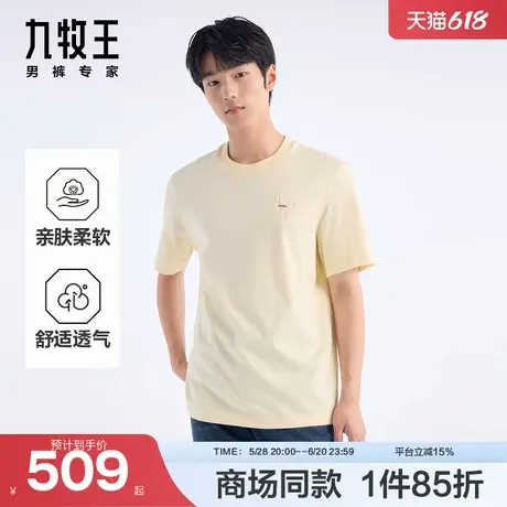 [商场同款]九牧王男装2025夏季新款亲肤透气男款短袖T恤JT4E244商品大图