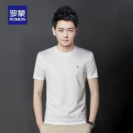 罗蒙男士冰丝短袖T恤夏季薄款中年爸爸圆领打底衫速干男装衣服体t图片