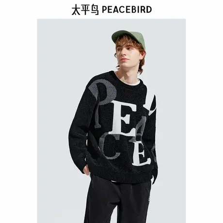 【商场同款】太平鸟男装毛衣24冬季新款雪尼尔字母线衫 B2EBE4525图片
