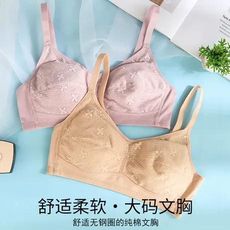 大码薄棉大罩杯文胸大胸显小防凸点无钢圈纯棉里料侧收防下垂胸罩商品大图