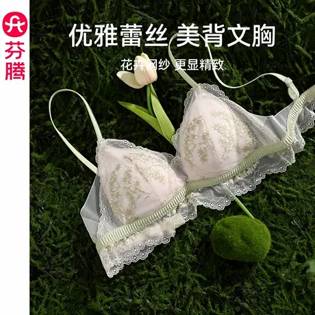 芬腾内衣女士新款性感蕾丝无钢圈美背文胸上托防下垂舒适聚拢胸罩商品大图