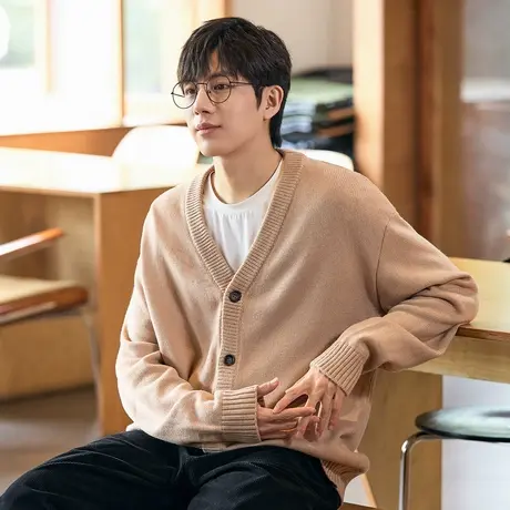 唐狮秋冬季新款v领毛衣针织开衫男生韩系休闲薄外套宽松百搭TE图片