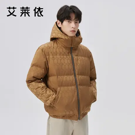 艾莱依提花羽绒服男新款质感时尚设计感轻奢连帽短款鸭绒冬季外套商品大图
