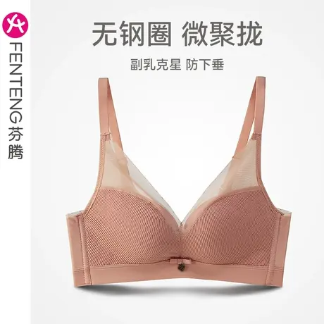芬腾内衣女小胸聚拢上托防下垂文胸网纱性感无钢圈收副乳女士胸罩商品大图