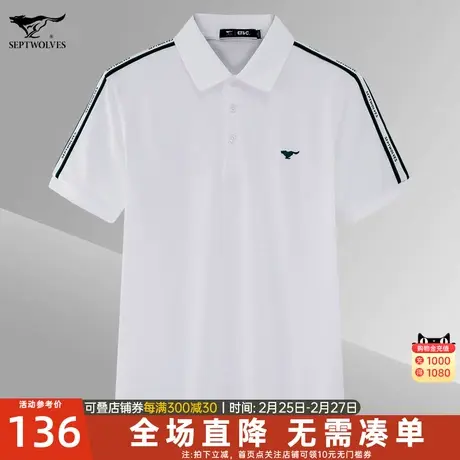 七匹狼翻领短袖T恤男士2023夏季新款潮流宽松休闲百搭POLO衫男装商品大图