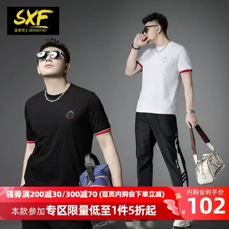 SXF圣希梵短袖男夏季2024新款冰丝棉体恤简约打底上衣半袖男士T恤商品大图