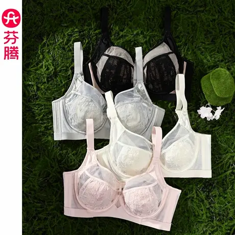 芬腾内衣女性感蕾丝大胸显小文胸透气舒适聚拢记忆钛圈收副乳胸罩商品大图
