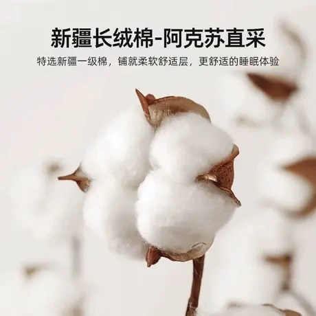 雅鹿棉花床垫遮盖物家用卧室租房专用宿舍软垫被褥铺底床褥垫褥子商品大图