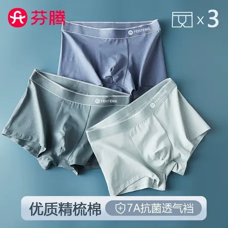 3条 芬腾纯棉抗菌男士内裤2025新款透气男式四角平角男款裤衩大码商品大图