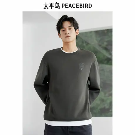 【商场同款】太平鸟男装 休闲卫衣莫代尔空气层刺绣卫衣B1CRF1426图片