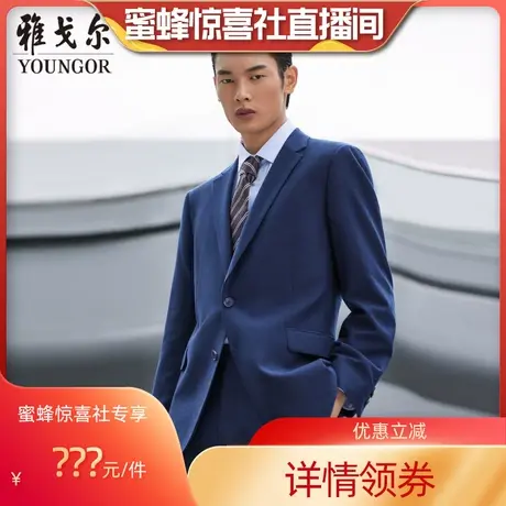 【加购！明晚男装专场】雅戈尔男士西服羊毛抗皱西服外套裤子男商品大图