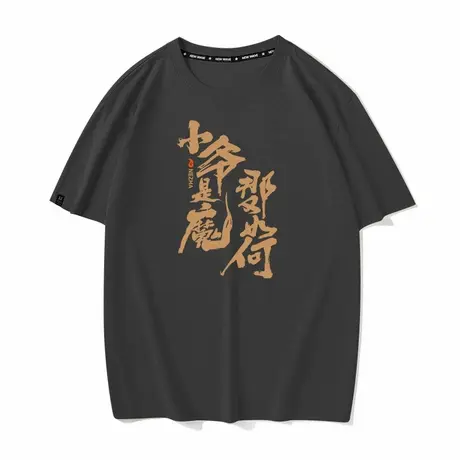 秀洛哪吒小爷是魔那又如何夏季纯棉短袖T恤男女打底衫纯棉上衣服商品大图