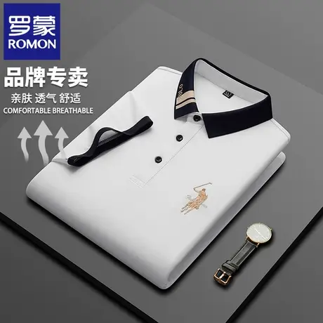 罗蒙高端男士短袖POLO衫夏季轻薄高端刺绣t恤商务中年半袖上衣N2Z图片