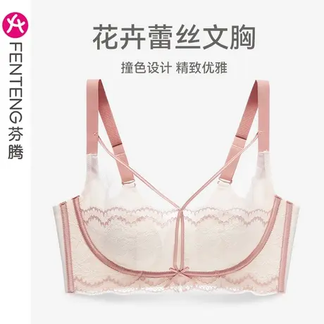 芬腾女士内衣上托防下垂聚拢文胸女性感蕾丝透气收副乳软钢圈胸罩商品大图