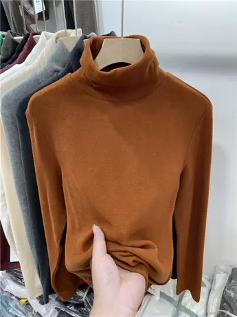 欧货高领纯色简约双面德绒加厚卫衣女2023秋冬新款宽松柔软上衣潮商品大图