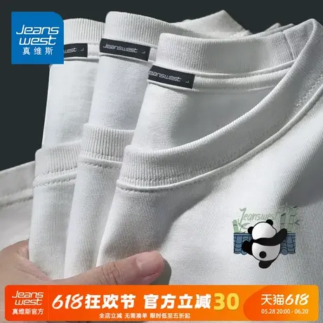 GV真维斯夏季短袖T恤男220G重磅纯棉半袖男款青少年宽松透气上衣A商品大图