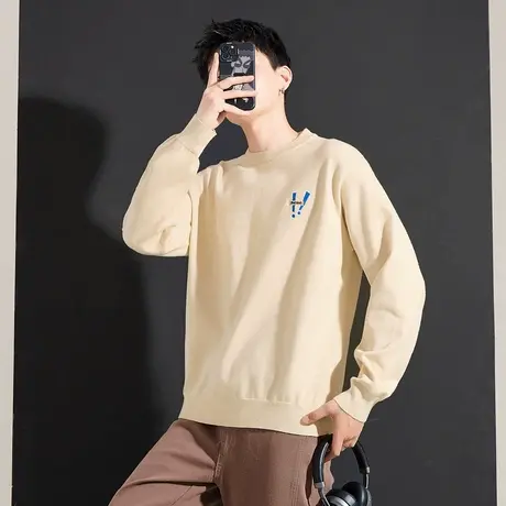 唐狮秋冬季新款男士毛衣圆领慵懒风针织上衣男装韩版休闲潮流TE图片