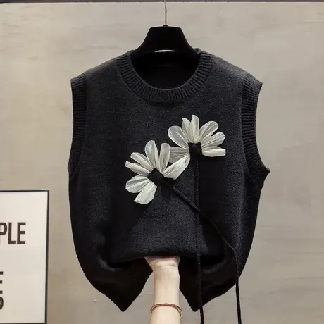 圆领针织马甲背心女2025春秋新款宽松外穿马夹叠穿外搭毛衣坎肩潮商品大图