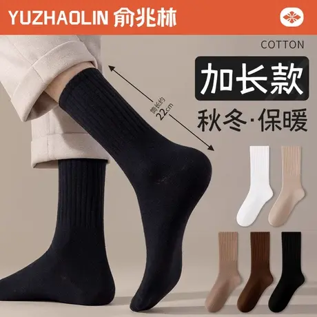 袜子男士中筒袜纯棉防臭2024秋冬季加厚保暖加长筒袜冬天高筒长袜商品大图