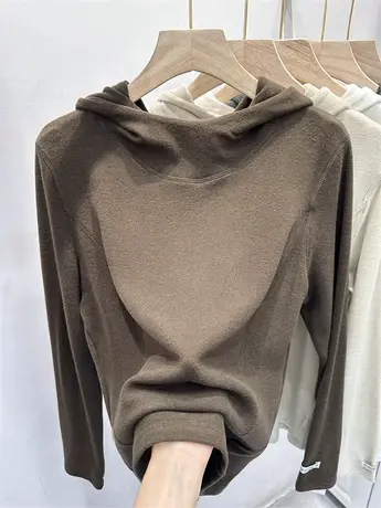 欧货高级感双面磨毛德绒连帽套头卫衣女秋冬长袖纯色打底衫上衣潮商品大图