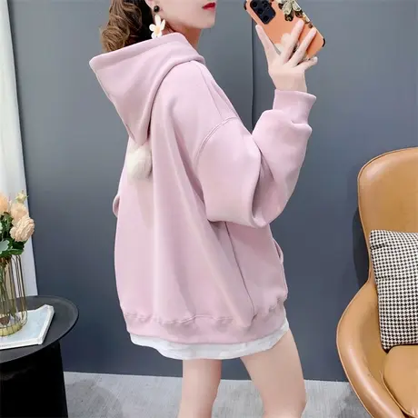 假两件刺绣加绒连帽卫衣女2023年新款秋冬宽松洋气减龄设计感外套商品大图