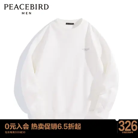 太平鸟男装 2023年秋季新款刺绣圆领卫衣男B1BFD1419商品大图