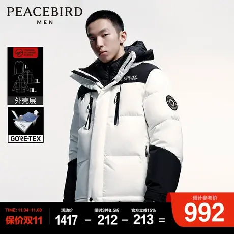 太平鸟男装 GORE-TEX INF户外冬季羽绒服图片