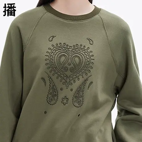 播圆领套头卫衣女2023秋季新品通勤简约文艺休闲刺绣图案上衣外套商品大图