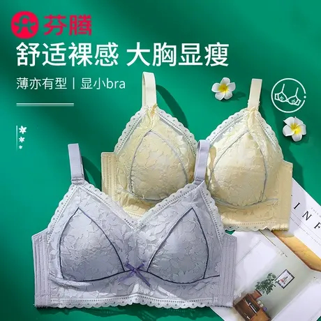 芬腾女士大胸显小显瘦薄款透气法式蕾丝聚拢防下垂收副乳文胸胸罩商品大图