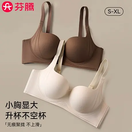 芬腾小胸聚拢显大内衣女士无钢圈提拉收副乳无痕防下垂美背文胸罩商品大图