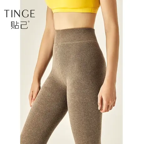 TINGE加绒加厚光腿神器黑色连裤袜高腰踩脚裤收腹提臀打底裤女图片
