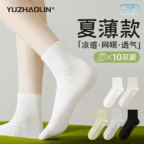 袜子女夏季薄款网眼中筒袜纯棉无骨透气短筒袜2025新款爆款短袜女商品大图