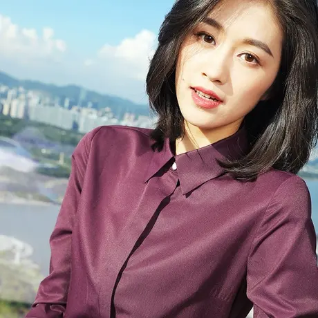 雀后衬衫女职业工作服2022秋装新款白领正装气质抗皱免烫长袖衬衣图片