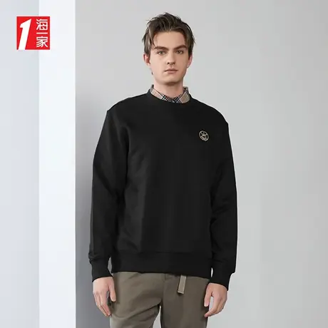 海一家宽松舒适上衣新款时尚绣花圆领男士卫衣商品大图